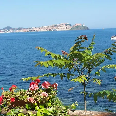 Üdülőközpont Village Rosselba Le Palme 3*