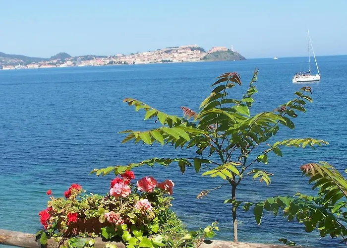 Resort Village Rosselba Le Palme 3*