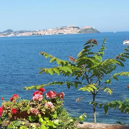 Ośrodek wypoczynkowy Village Rosselba Le Palme 3*