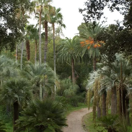 キャンピング ビレッジ ロッセルバ レ パルメ 3* ポルトフェッラーイオ