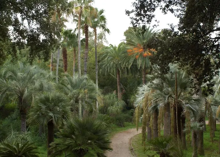 Village Rosselba Le Palme 3* Portoferraio